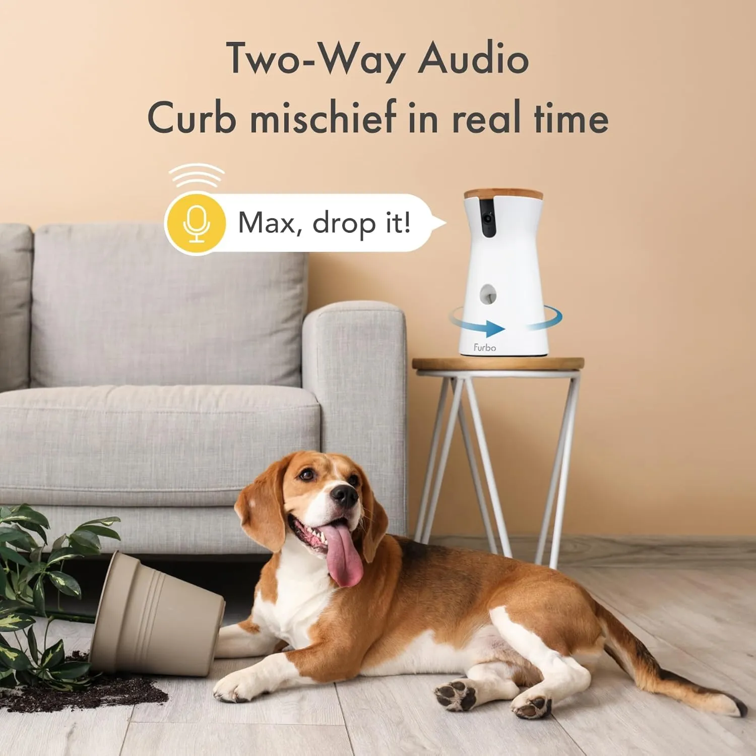 360° Dog Camera: Home Security Camera