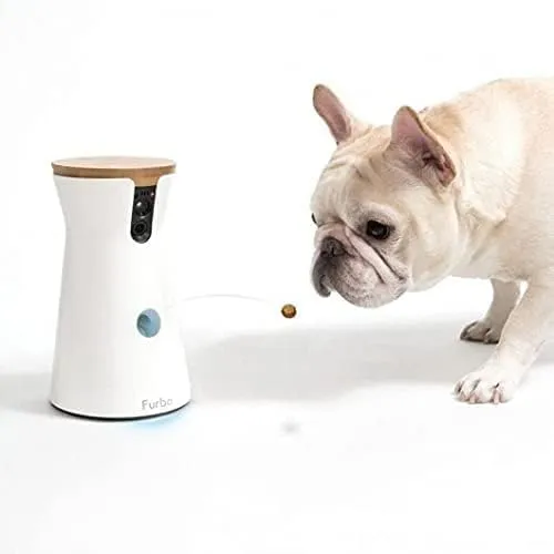 360° Dog Camera: Home Security Camera