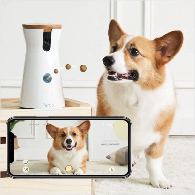 360° Dog Camera: Home Security Camera