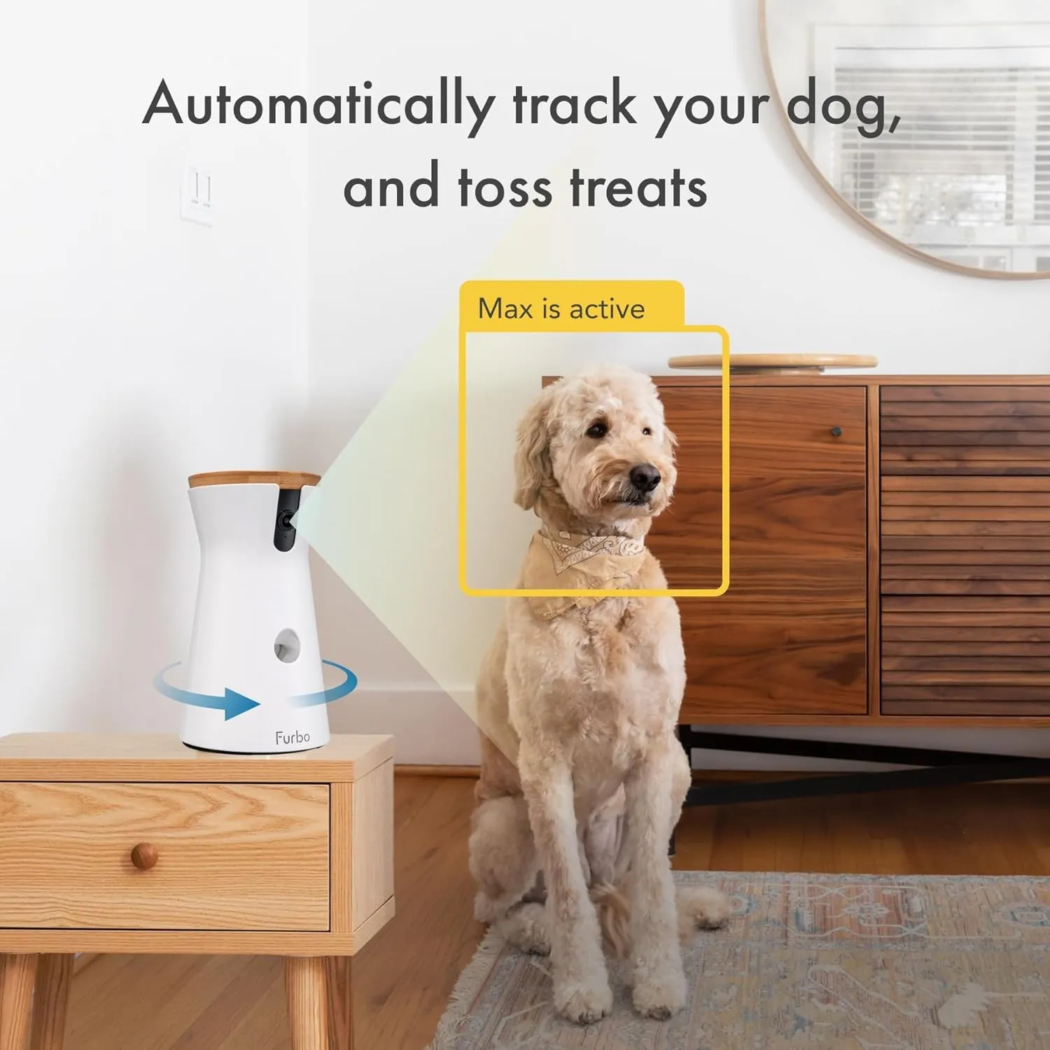 360° Dog Camera: Home Security Camera