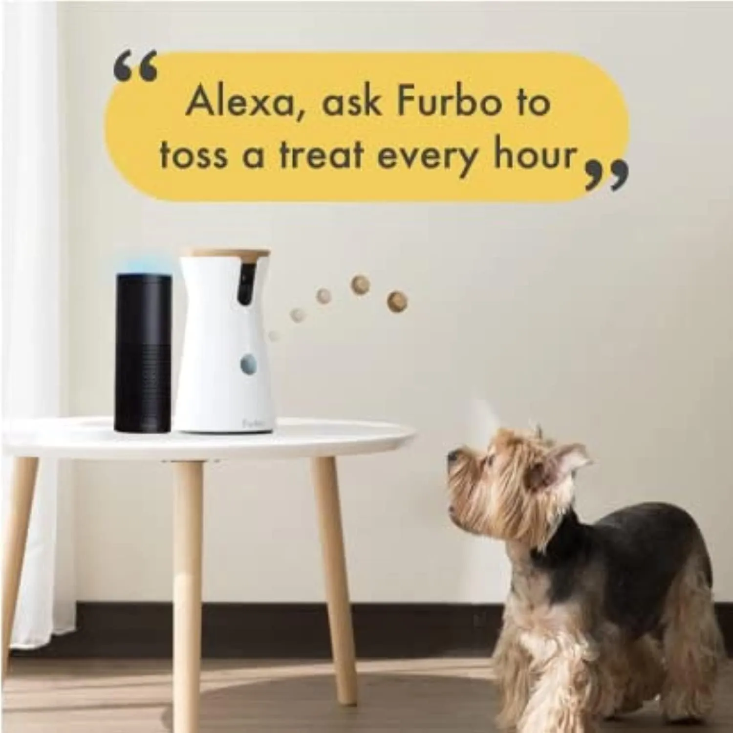 360° Dog Camera: Home Security Camera