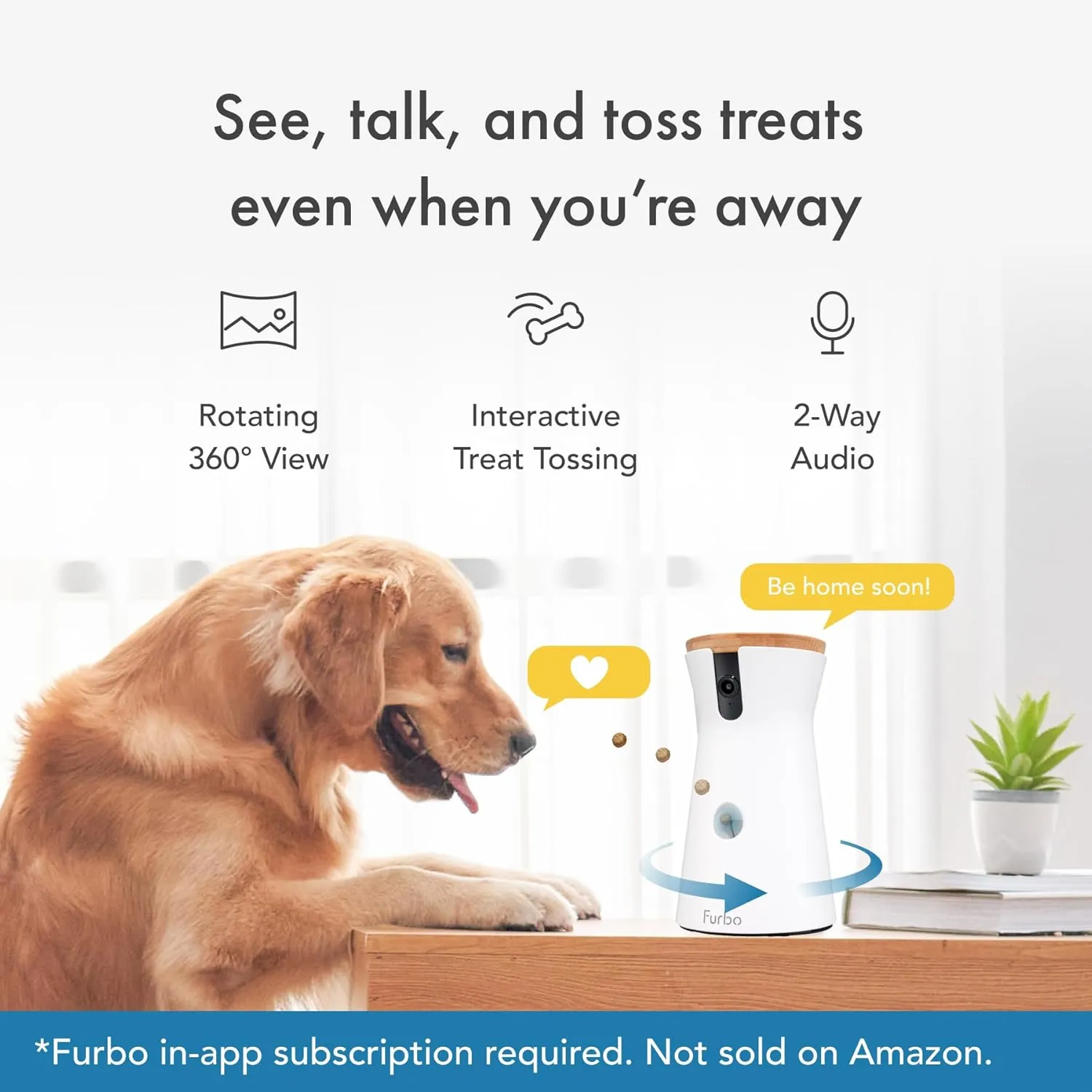 360° Dog Camera: Home Security Camera