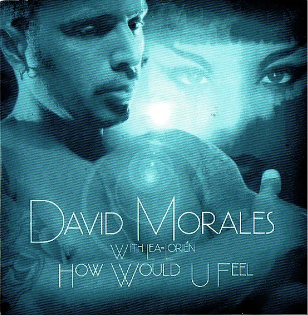 David Morales With Lea-Lorién - How Would U Feel  (CD, Single, Car) (VG )