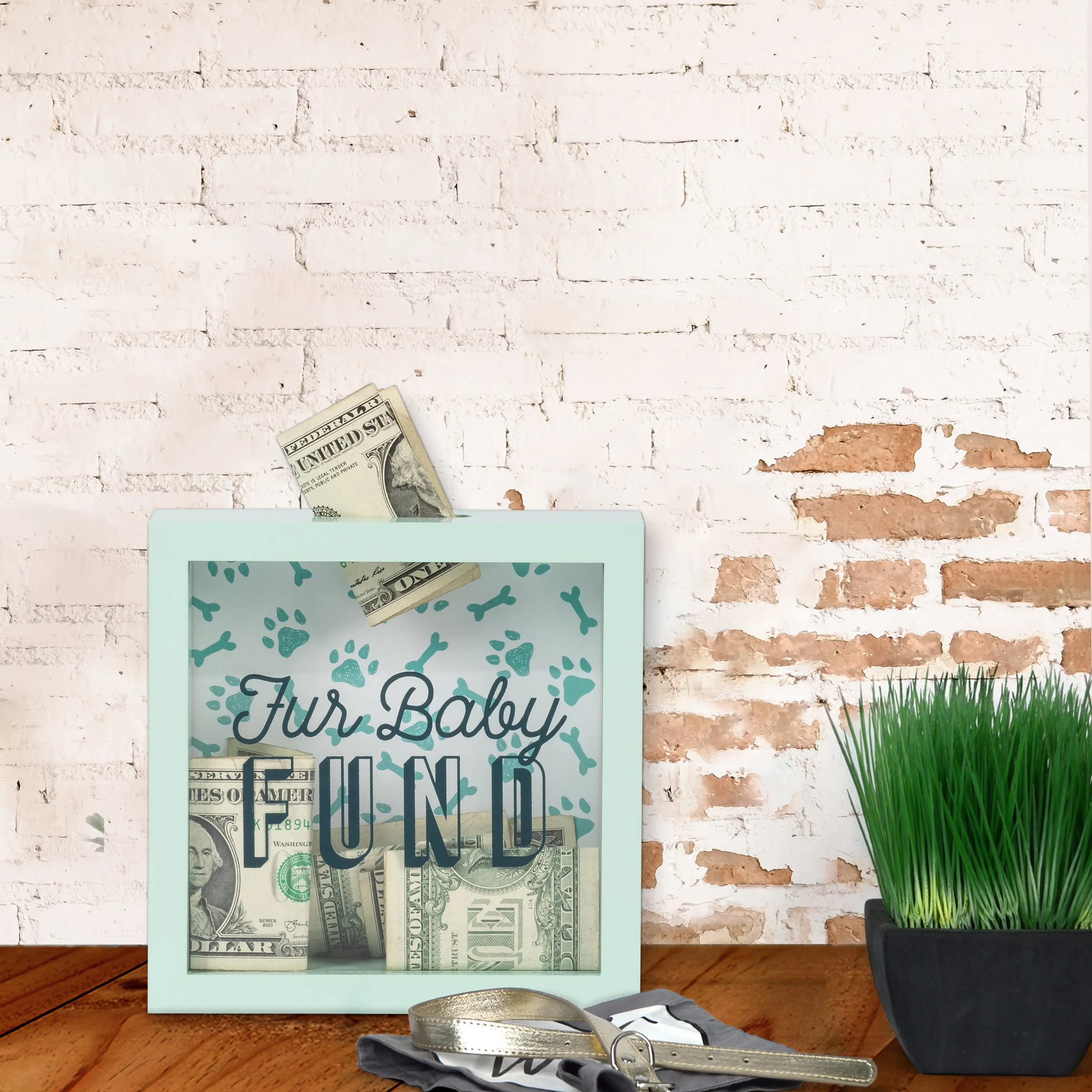 Wooden 6 x 6 Fur Baby Fund Shadowbox Bank, Light Green